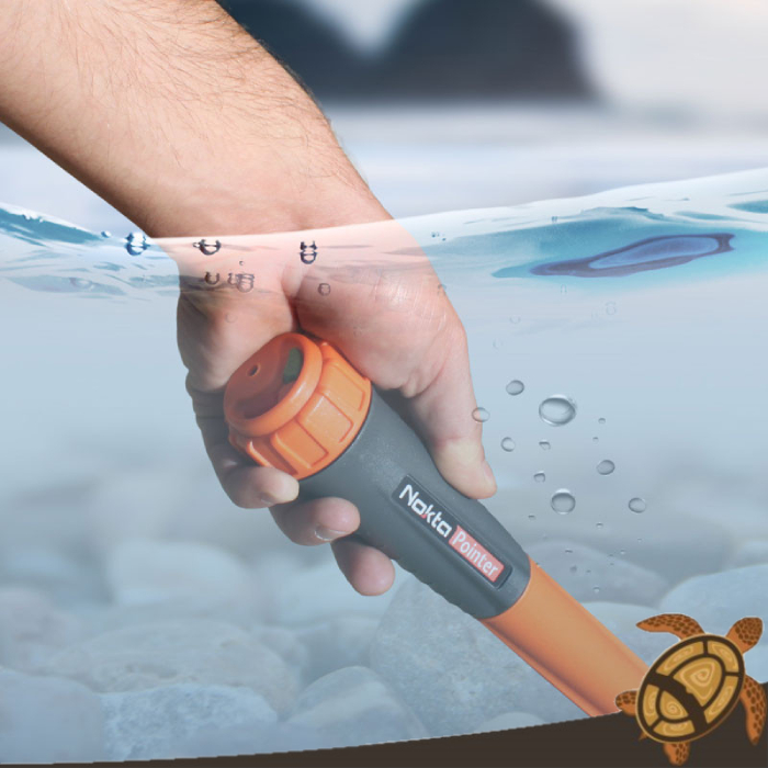 NOKTA POINTER – Image 2